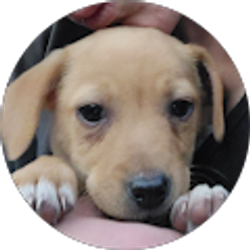 Profile photo of sarah Earnheart