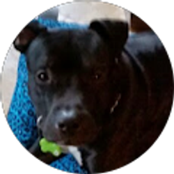 Profile photo of Aida Cadiz