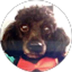 Profile photo of Caden Barkley