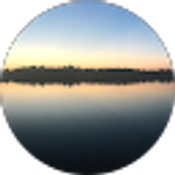 Profile photo of pedro conejo