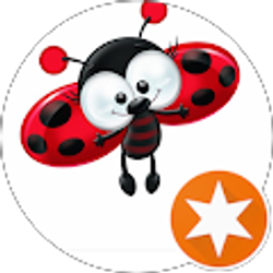 Profile photo of Sharon McGuirk