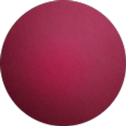 Profile photo of Baylee Ramirez