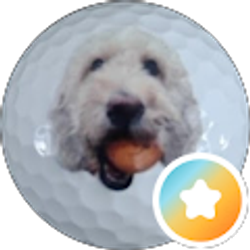 Profile photo of Mark Pojasek