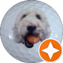 Profile photo of Mark Pojasek