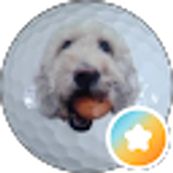 Profile photo of Mark Pojasek