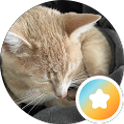Profile photo of Rose H