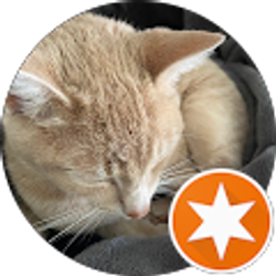 Profile photo of Rose H