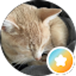 Profile photo of Rose H