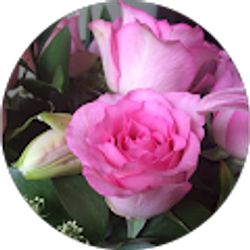 Profile photo of E Higgins