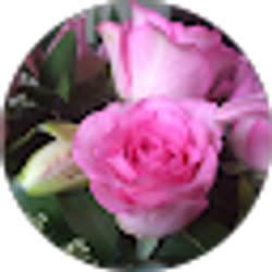 Profile photo of E Higgins