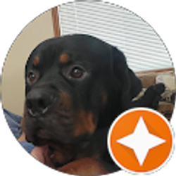 Profile photo of Julie Main