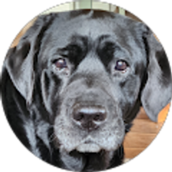 Profile photo of Barbara H