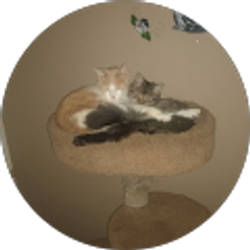 Profile photo of Denise Orr