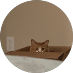 Profile photo of Mari