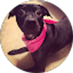 Profile photo of Emmy Alexander