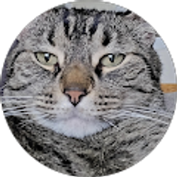 Profile photo of Sara Rowntree