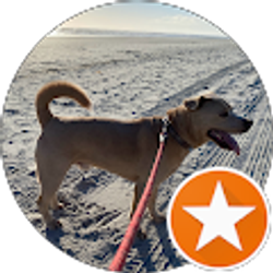 Profile photo of Tom S