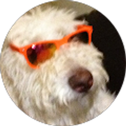 Profile photo of Logan Grassler