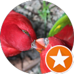 Profile photo of Kevin Strachan