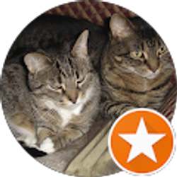 Profile photo of Fabio H