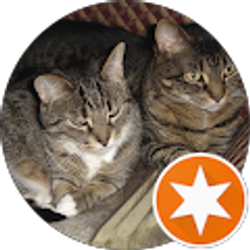 Profile photo of Fabio Higa