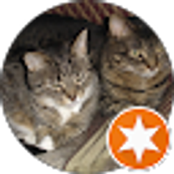 Profile photo of Fabio Higa