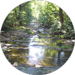 Profile photo of vans m