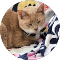 Profile photo of Ethan Braga