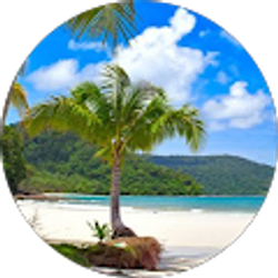 Profile photo of Robert Burgess