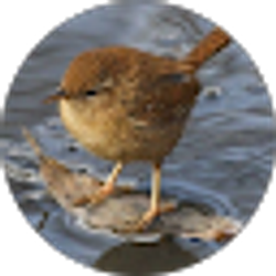 Profile photo of Camilla