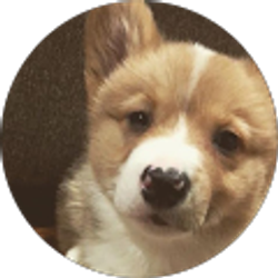 Profile photo of Christopher Trueblood