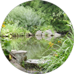 Profile photo of Paul k Ademola