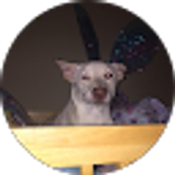 Profile photo of Kaydence S