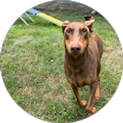Profile photo of lola morgan