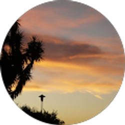 Profile photo of Cindy Chan