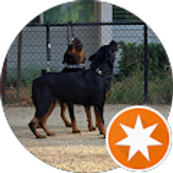 Profile photo of Lupe c