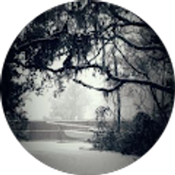 Profile photo of Nora R-G