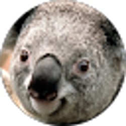 Profile photo of Peter Vasquez