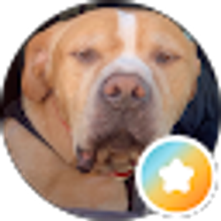 Profile photo of Larry Baty