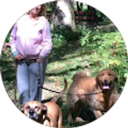 Profile photo of Brenda Freemer