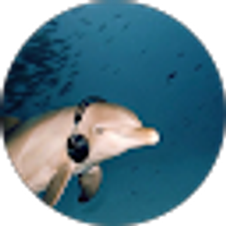 Profile photo of Tori Gee