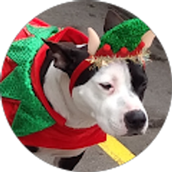 Profile photo of Kelly Bailey