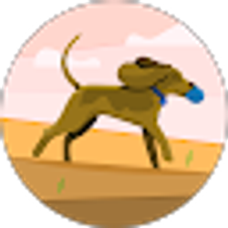 Profile photo of courtnie smith