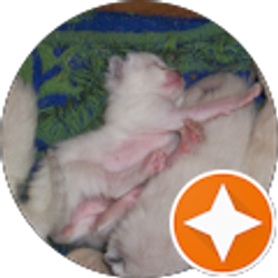 Profile photo of Valorie Craig