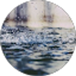 Profile photo of Kathy Friesen