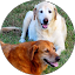 Profile photo of ElPilon