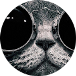 Profile photo of Sean Rivituso