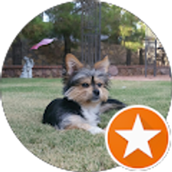 Profile photo of Gloria Yanez