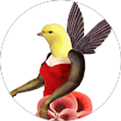 Profile photo of Maria Marta Linero