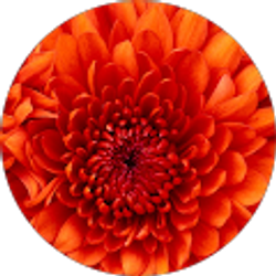 Profile photo of Stephanie Beaty